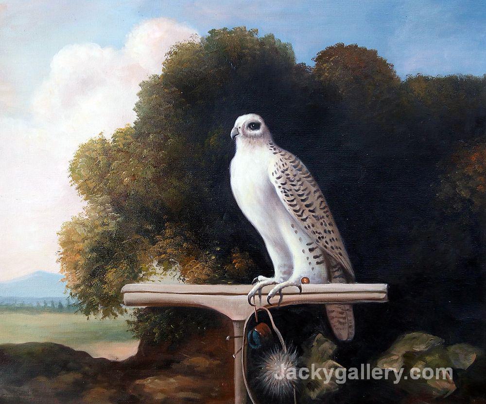 Greenland Falcon by George Stubbs paintings reproduction